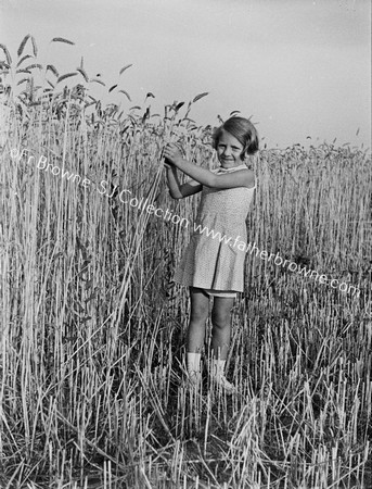 GIRL IN REED BED